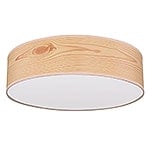 Representative image for LED Flush Lights