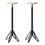 Representative image for Speaker Stands
