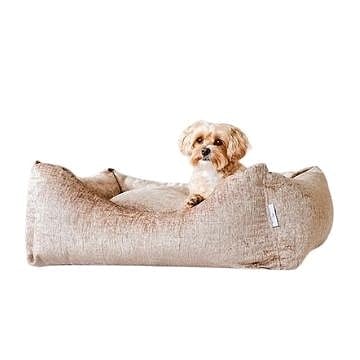 Representative image for Pets