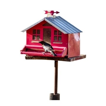 Representative image for Bird Feeders