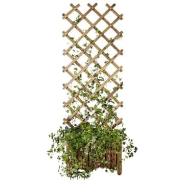 Representative image for Trellises & Obelisks