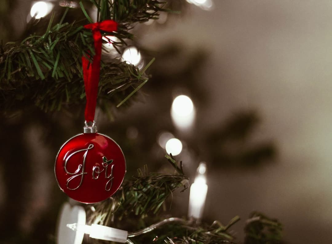 Bring Christmas Joy Into Your Home, This Festive Season