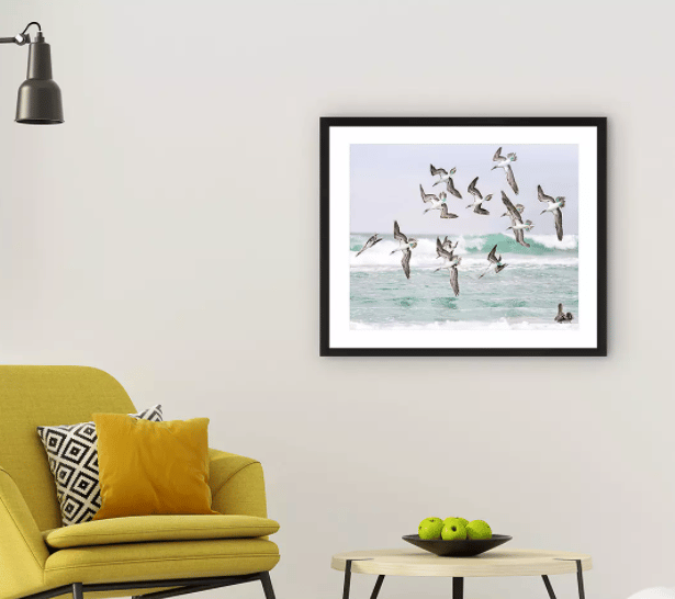 Gannets 2 - Framed Print u0026 Mount by John Lewis u0026 Partners