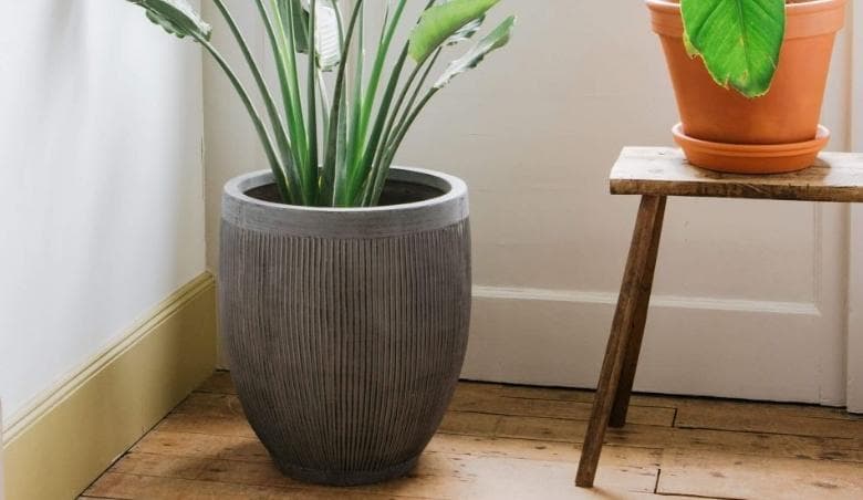 Grey Ribbed Planter By Graham & Green