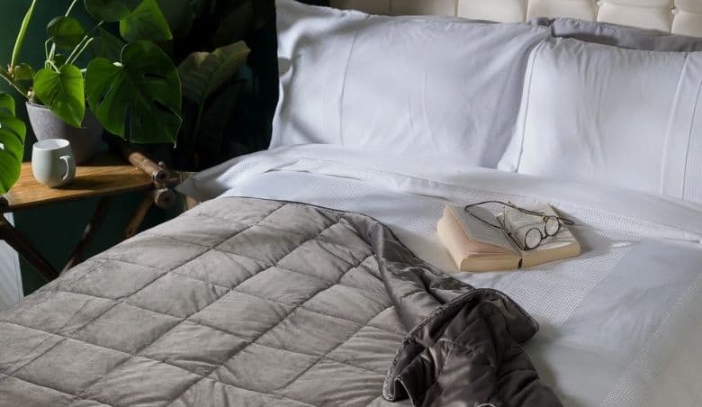 Celada Weighted Blanket by Wayfair