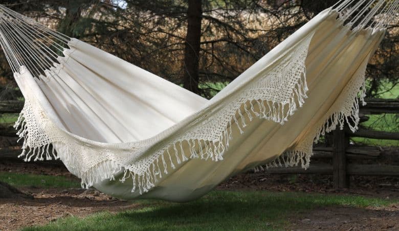 Isabelle Cotton Hammock By Wayfair