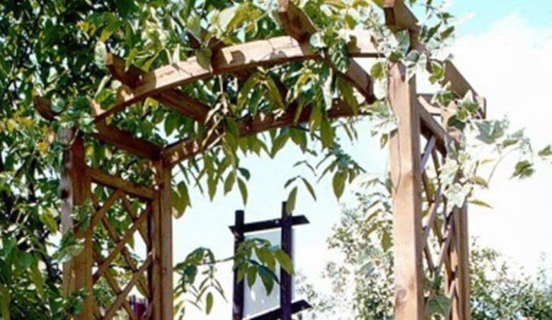 Wabasha 2.8m x 1.8m Wood Pergola By Wayfair