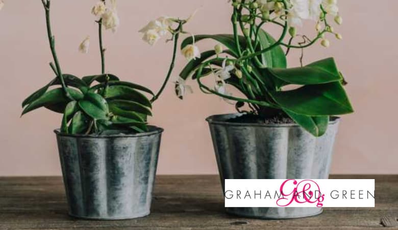 Two Zinc Fluted Planters by Graham & Green