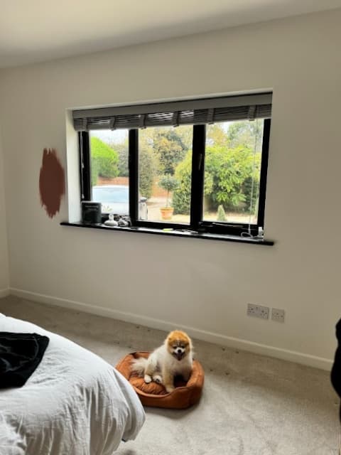 Leekim Stuart's entry for Best Before and After Transformation