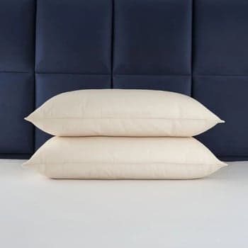 Best Pillows Blog