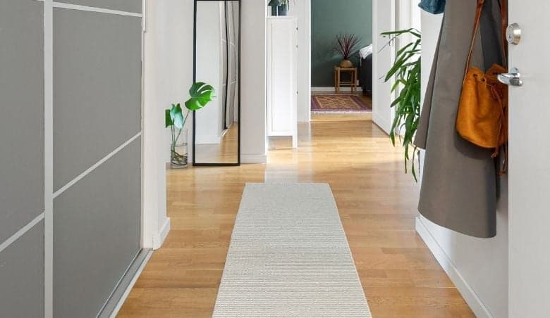 Long hallway Rug