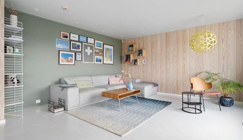 Small Rug infront of sofa