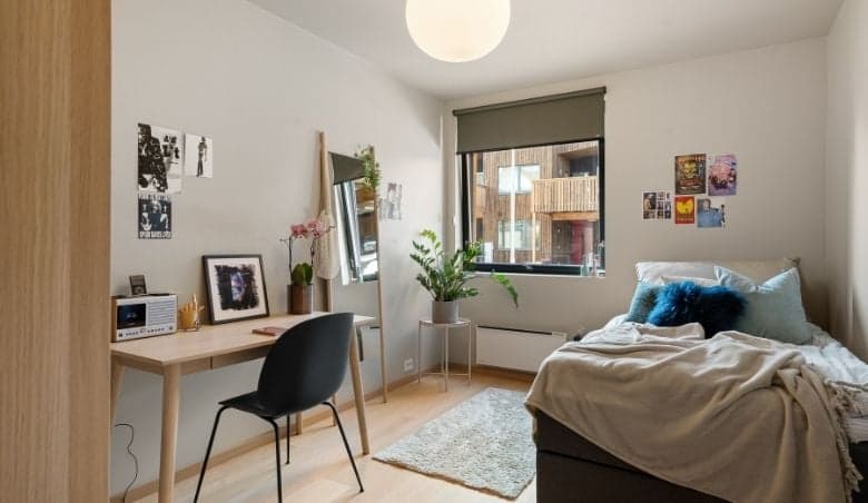 Small rug beside bed