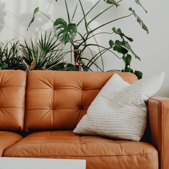 Sofa Article