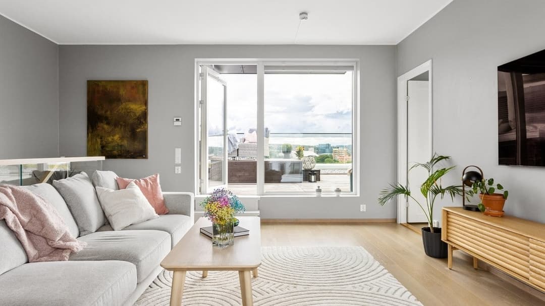 What Size Rug Do You Need? A Room-by-Room Rug Size Guide