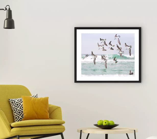 Gannets 2 - Framed Print u0026 Mount by John Lewis u0026 Partners