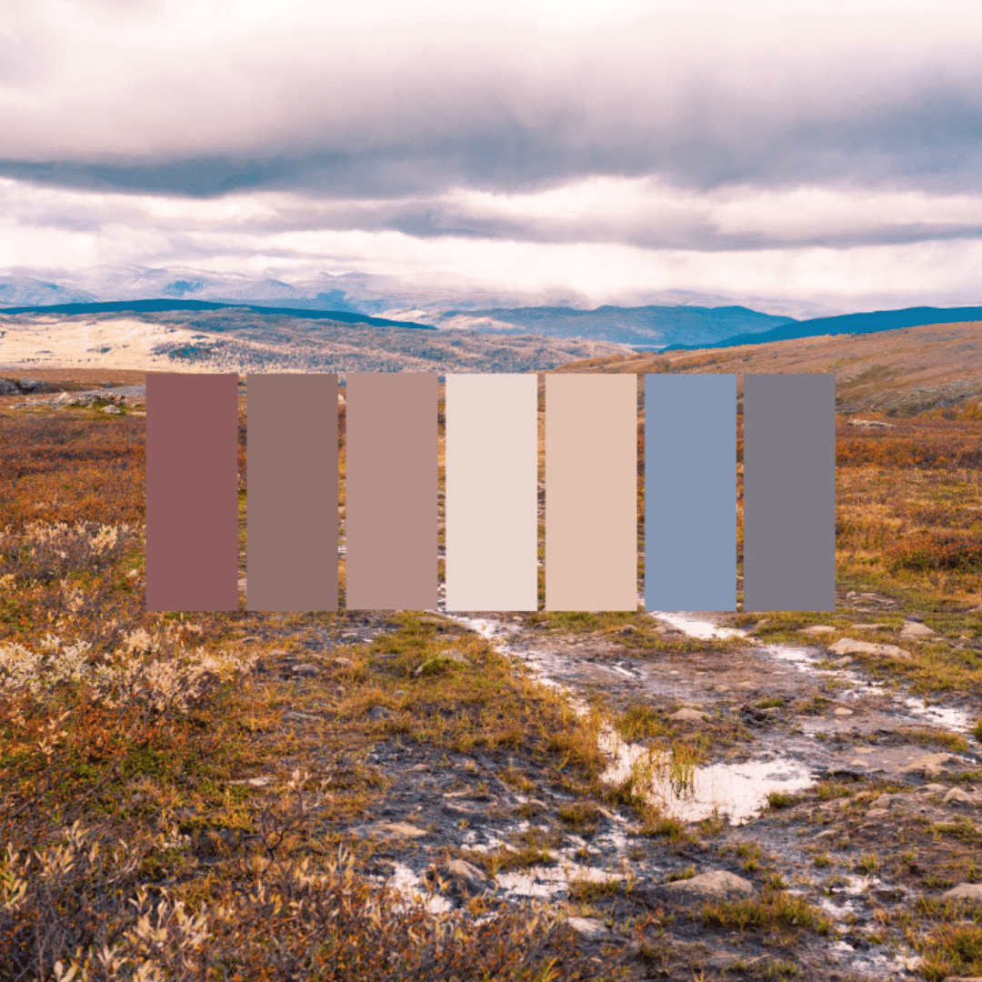 Five Essential Home Wellbeing Tips Using Biophilic Brilliance