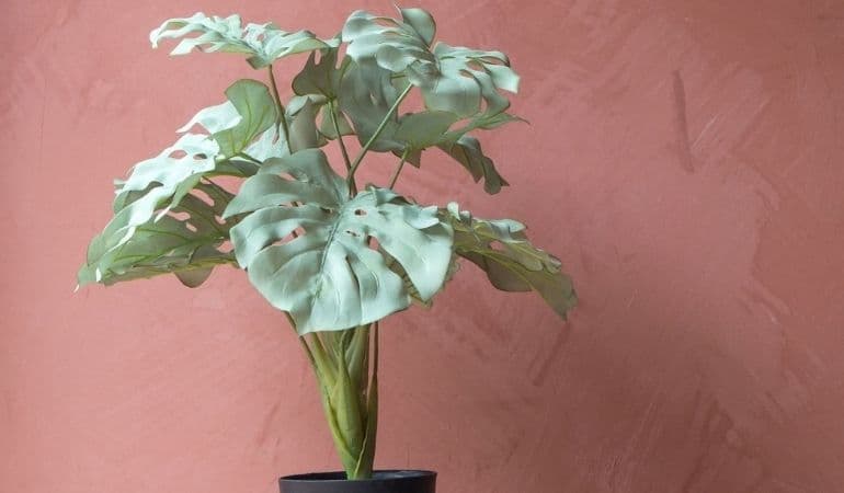 Medium Faux Monstera Plant By Graham u0026 Green