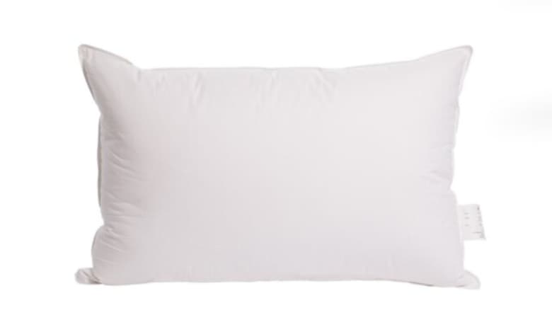 Duck Feather & Down Medium Firmness Pillow by Wayfair