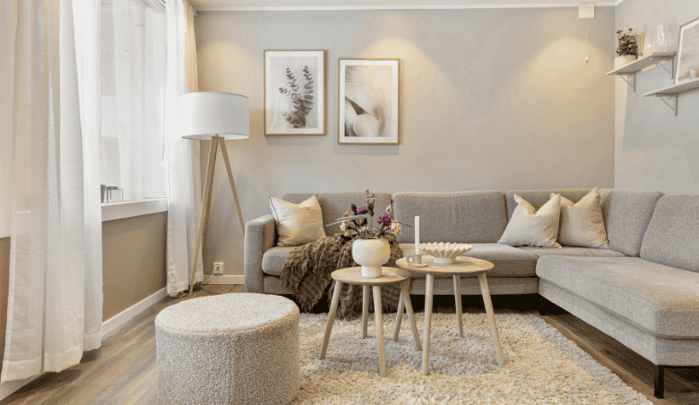 Black Friday Sofa Article