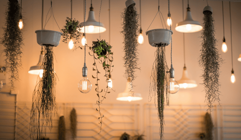 Ambient, Task and Accent Lighting: What’s the Difference?