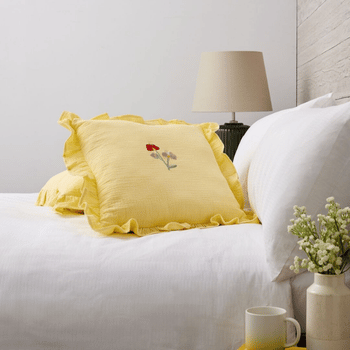 QVC Cushions & Throws