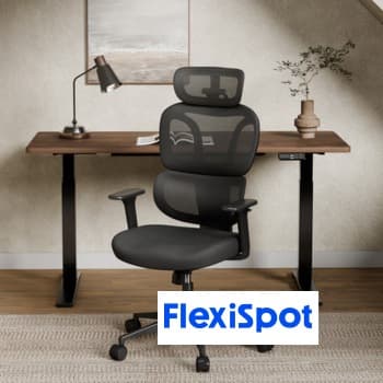 Office Chairs from Flexispot