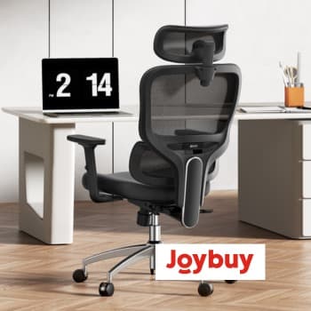 Joybuy Ergonomic Chairs